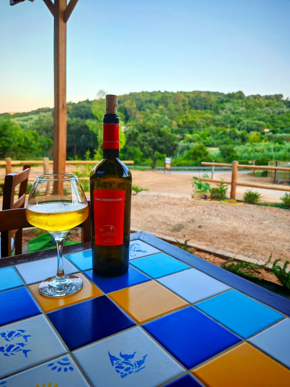 Degustazioni di Vino Guidate - I Nostri Vini dell'Elba - Image 1